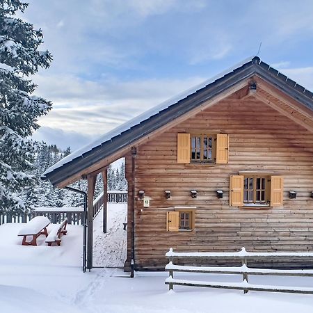 1A Chalet Koralpenzauber -Ski Fahren, Sauna Und Traumblick Villa Волфсберг Екстериор снимка